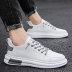 gid://shopify/MediaImage/24692163838046