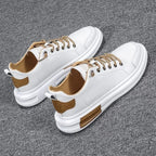 gid://shopify/MediaImage/24692163903582