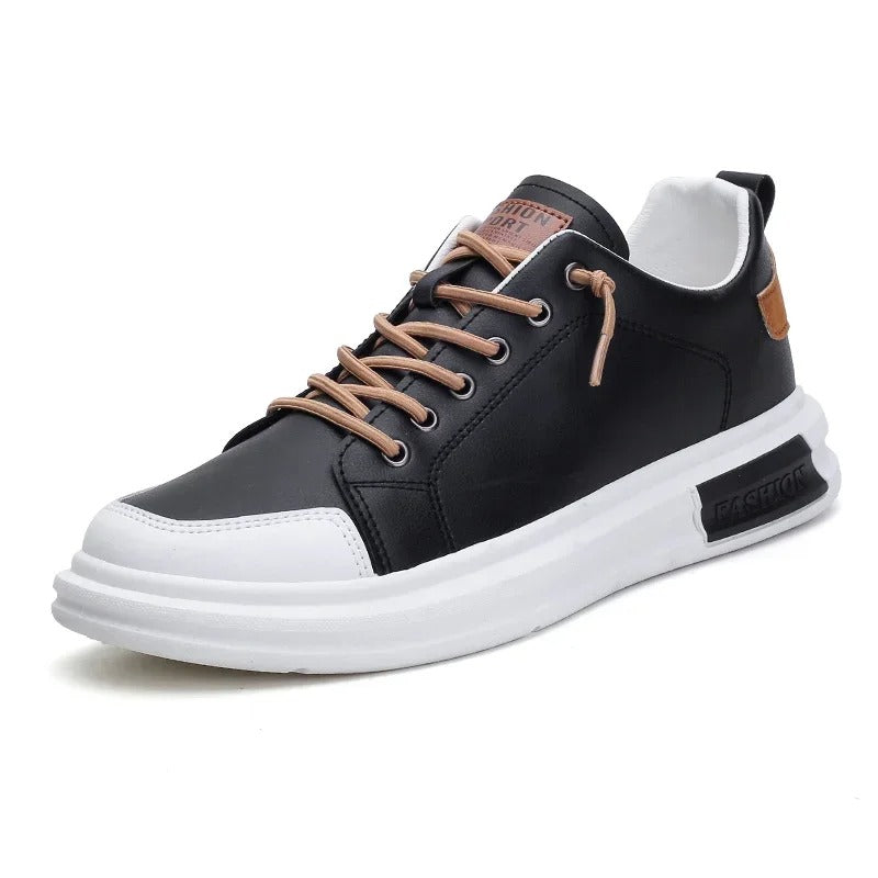 gid://shopify/MediaImage/24692164067422